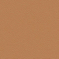 prone leather & bricolage