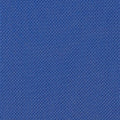 rhythm & berry blue